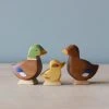 Brin D'Ours | Duck *New*
