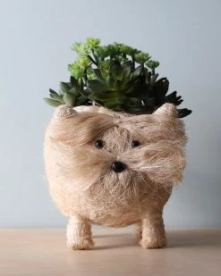 Likha Animal Planter - Dog *New*