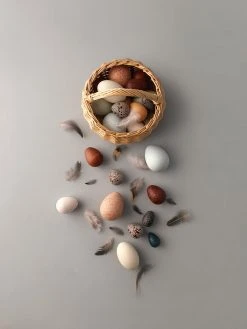 A Dozen Wooden Bird Eggs - Moon Picnic