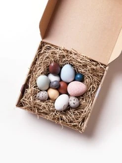 Moon Picnic *New* A Dozen Bird Eggs In A Box 6 Moon Picnic *New* A Dozen Bird Eggs In A Box