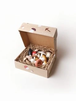 Moon Picnic Forest Mushrooms In A Box *New*