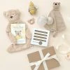 Odin Parker Honey Bear Newborn Gift Box *New*