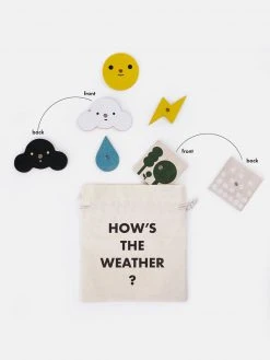 Moon Picnic Weather Station