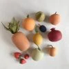 Sabo Concept *New* Handmade Wooden Fruits